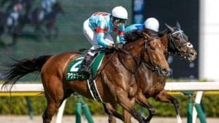 23年の関屋記念を制したアヴェラーレが引退 ノーザンファームで繁殖入り