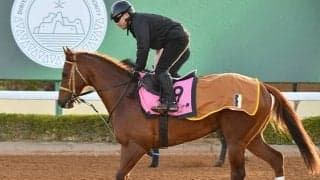 【リヤドダートスプリント結果】リメイクが差し切り快勝！ 日本勢2連勝！