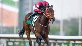 【サウジダービー結果】フォーエバーヤングがゴール寸前で差し切りV！ 海外重賞初制覇！