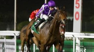 【レッドシーターフH結果】アイルランドのタワーオブロンドンが直線一気V