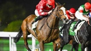 【ネオムターフC結果】イギリスのスピリットダンサーがV キラーアビリティ2着