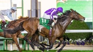 【レッドシーターフHC】日本勢は直線失速…ムーア騎乗、愛タワーオブロンドンが差し切る