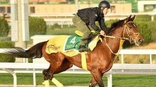 【サウジC結果】米国のセニョールバスカドールがV　日本のウシュバテソーロ僅差の2着