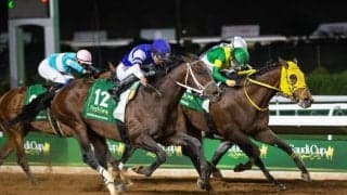 【サウジカップ】大激戦のゴール前！ウシュバテソーロは惜しい2着…セニョールバスカドールが差し切る