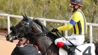 名牝ソウルスターリングの仔 母がGI制覇飾った舞台で初勝利目指す