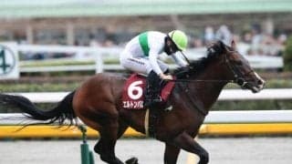 【中山記念】春のビッグレースに向かって多くの実績馬が始動