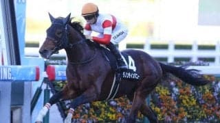 【阪急杯予想】予想のカギを握るのは“リピーター” コース適性が勝負を左右する一戦