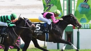 中山記念、馬券的中のカギは「馬場」にあり！ 前を行く伏兵２頭の大駆けにご用心