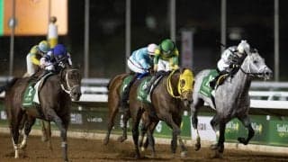 【サウジカップ】ルメール「最後は苦しくなった」デルマソトガケは健闘の5着