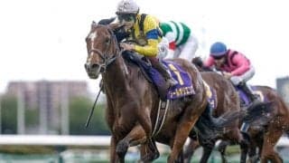 中山記念当日の中山芝は徐々に悪化傾向 道悪巧者のソーヴァリアント＆ソールオリエンスに要注意