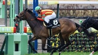 【デイジー賞】エフフォーリア半妹・イゾラフェリーチェが2連勝