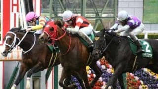 【阪急杯結果】ウインマーベルが大接戦を制し重賞連勝！