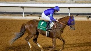 サウジC出走のレモンポップに歩様の乱れ 帰国して今後を検討