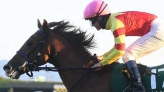 【オーシャンS】トウシンマカオ、ビッグシーザーらが登録