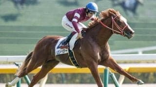 【弥生賞】シンエンペラー、サンライズジパングらが登録