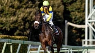 【チューリップ賞】ミラビリスマジック、ガルサブランカらが登録