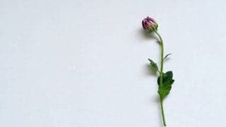 生理の痛みを自分なりに把握して早めに対応しよう