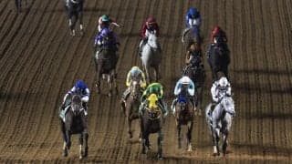 【サウジカップ】モレイラ「力残ってなかった」クラウンプライドは9着敗退