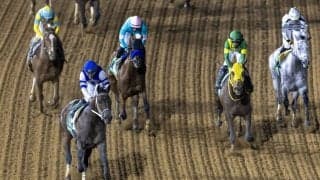 【サウジカップ】音無師「巻き返しを期待」デルマソトガケは惜しくも5着