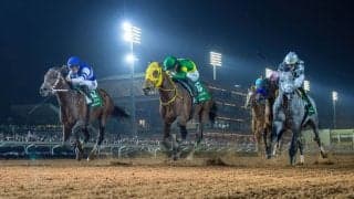 【サウジカップ】高木師「完璧なタイミングで差したと思ったのですが…」ウシュバテソーロは惜しい2着