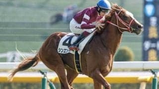 弥生賞ディープ記念など3重賞/今週の競馬界の見どころ