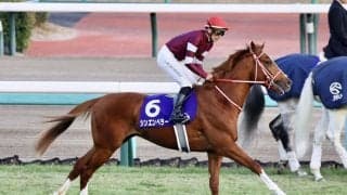 【弥生賞登録馬】シンエンペラーなど12頭