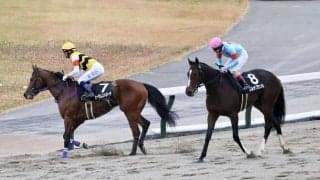 【チューリップ賞登録馬】良血ガルサブランカなど17頭