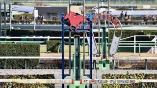 珍名馬「オオタニサーン」がデビュー…競馬でも大谷翔平選手が話題