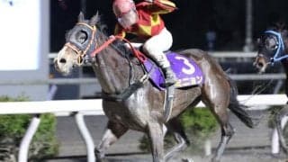 【高知・レジーナディンヴェルノ賞】ミニョンが3馬身差完勝…山崎「馬の力で勝てた」