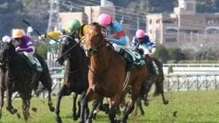 【先週のJRA抹消馬】フェブラリーS3着のセキフウ、“小倉巧者”で鳴らしたアリーヴォなど