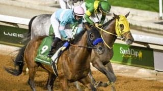 2着も賞金約5億円のウシュバテソーロ 総獲得額はいくらになったのか？