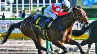 セレクト4.5億円の良血馬 弥生賞で史上最高額のJRA重賞ウイナーになるか