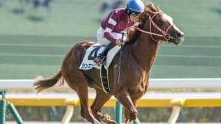 【AI予想・弥生賞】前走の成績が勝敗のカギ握る コース経験も十分な本命候補とは