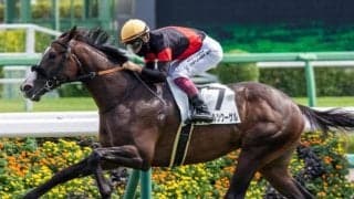 同舞台の皐月賞とは求められる適性がまるで逆!? 弥生賞の傾向にぴったりの穴馬発見