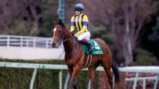 ソールオリエンスの敗北は適性によるもの？ 悔しい4着も東京では侮れない