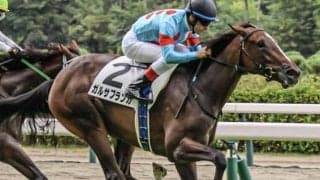 世界最強馬イクイノックスの半妹 チューリップ賞を制して初タイトル獲得なるか