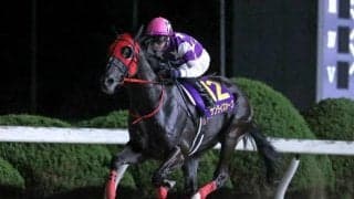 【名古屋・かきつばた記念枠順】重賞連勝中のサンライズホークは4枠4番、悲願のDG競走初制覇を狙うスマイルウィは2枠2番