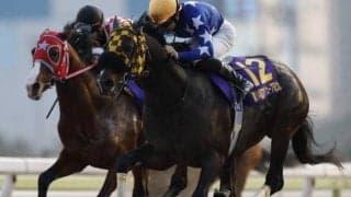 【大井・フジノウェーブ記念】連覇を狙うギャルダルは4枠7番