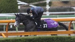 アドマイヤテラなど、先週の入厩情報/栗東トレセンニュース