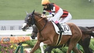 武豊騎手チューリップ賞連覇＆7勝目へ スイープトウショウの孫と初コンビ