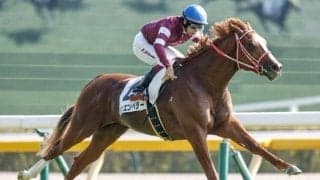 【弥生賞予想オッズ】シンエンペラーが予想1番人気