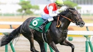 舞台は一緒でも傾向は真逆!? チューリップ賞と桜花賞の大きな違いとは