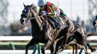 中山芝2000mで2戦2勝 良血レイデオロ産駒が弥生賞無敗V狙う