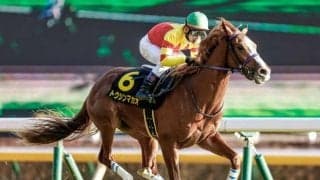 【オーシャンS予想オッズ】トウシンマカオが予想1番人気