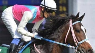 日本ダービーを制した馬も…　“うるう年”2月29日に生まれた名馬たち