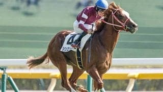 ウマ娘・藤田晋氏のシンエンペラーが弥生賞参戦 ホープフルS2着の世界的良血