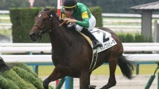 【チューリップ賞予想オッズ】タガノエルピーダが予想1番人気