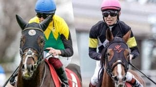 弥生賞攻略のヒントは“菊の大輪”の香り 皐月賞トライアルだが実は…