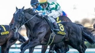 【オーシャンS展望】シルクロードSで敗れた馬の巻き返しを期待