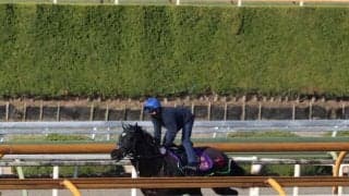 ジャスティンパレス、ドバイSC追い切り速報/栗東トレセンニュース